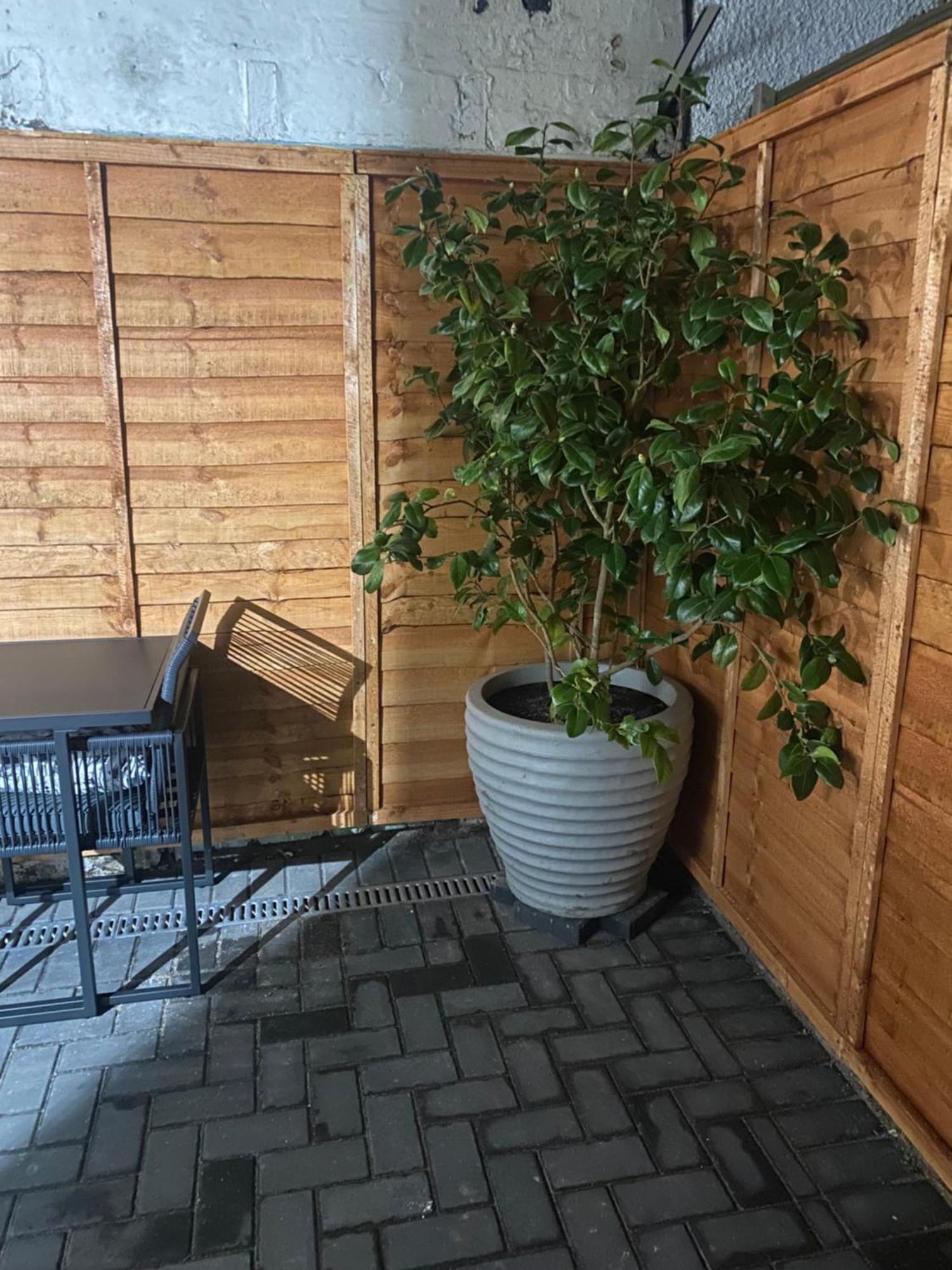 Apartment The Terrace Saint Monance